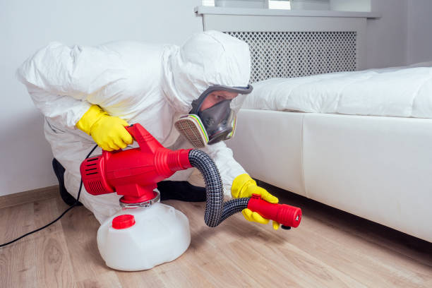 Reliable Irving, TX Pest Control Solutions